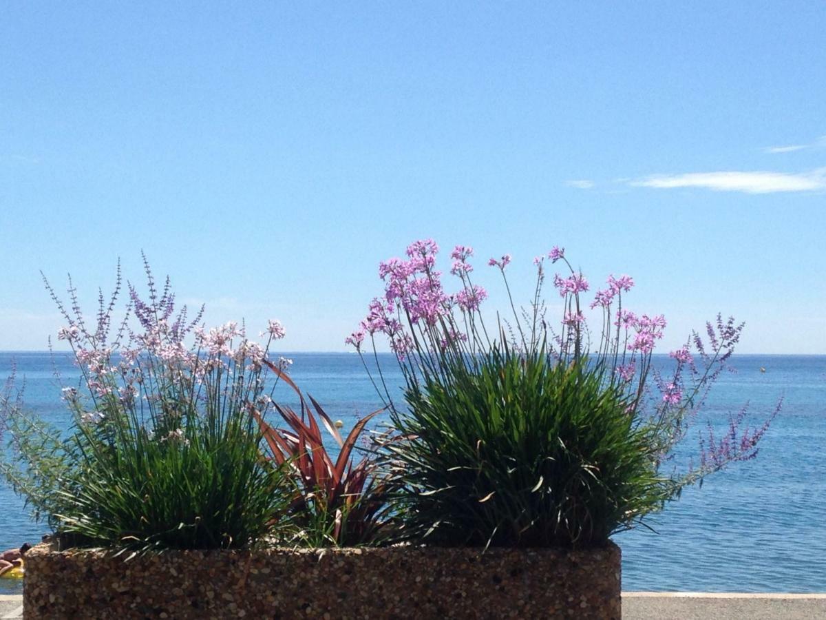 Ferienwohnung Les Caroubiers Roquebrune-Cap-Martin Exterior foto